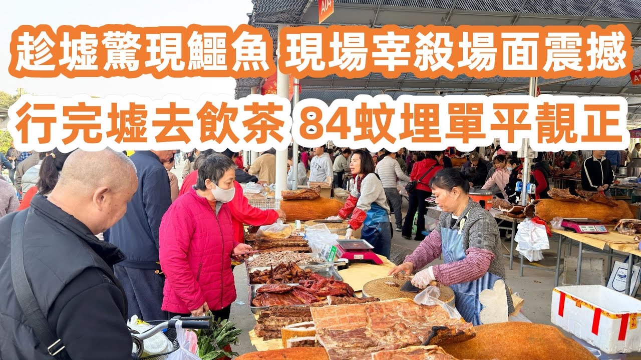 南海桂城墟驚現鱷魚！現場宰殺場面震撼！行完墟去飲茶！84蚊埋單平靚正！5蚊一隻糉好味又抵食！車釐子士多啤梨平過超市！25蚊一斤脆皮燒肉！美食生活vlog！美食旅遊攻略！Canton Food Tour