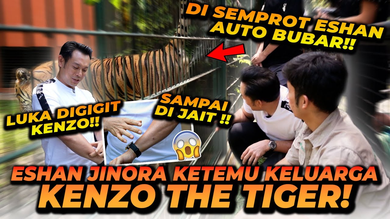 PAPAH & MAMA KENZO BERKUNJUNG KE RUMAH ALSHAD ! CERITA BEDANYA ESHAN JINORA DAN KENZO ! TERNYATA...