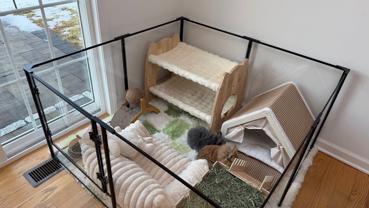 bunny&rsquo;s apartment setup! 