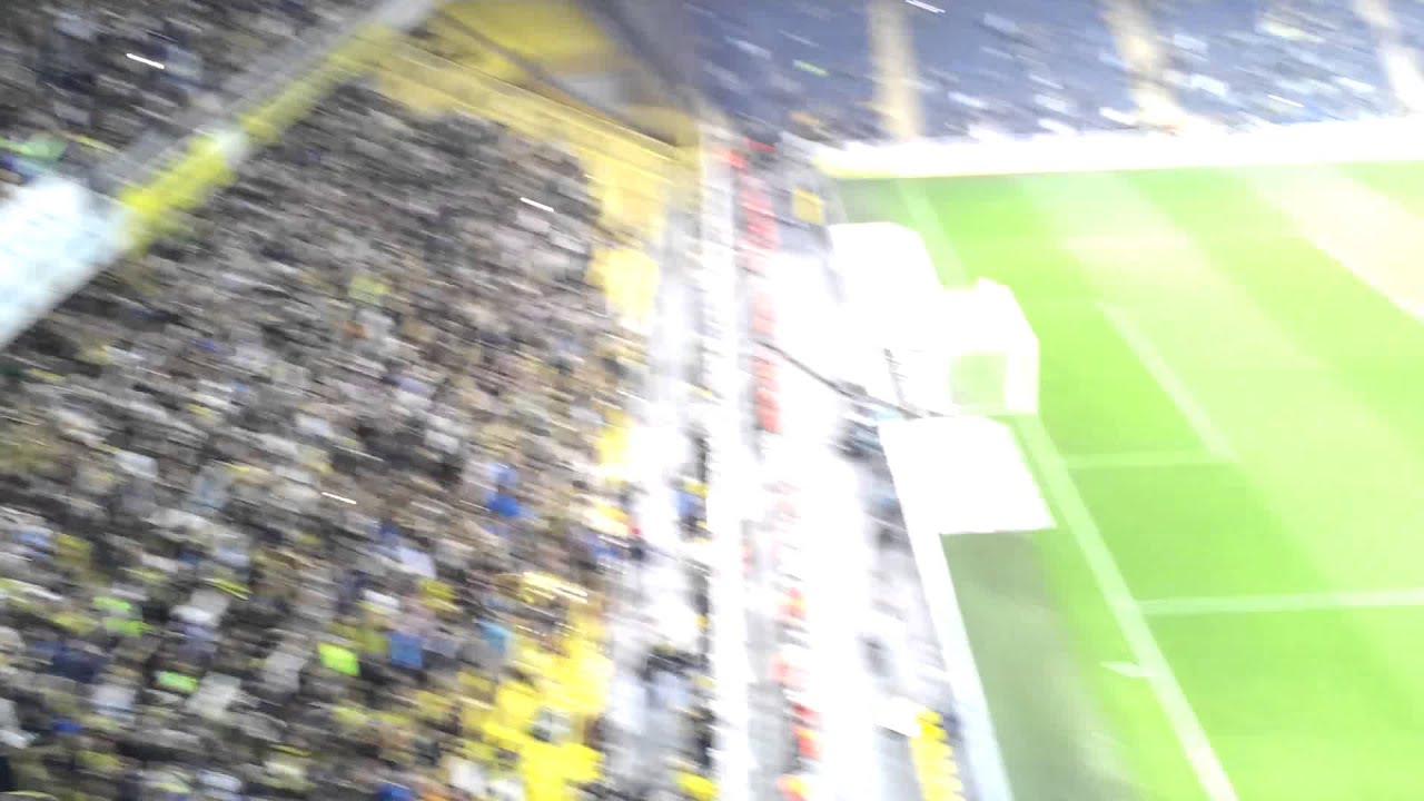 Fenerbah&ccedil;e aşkınla coşkunla sen &ccedil;ok yaşa!!!