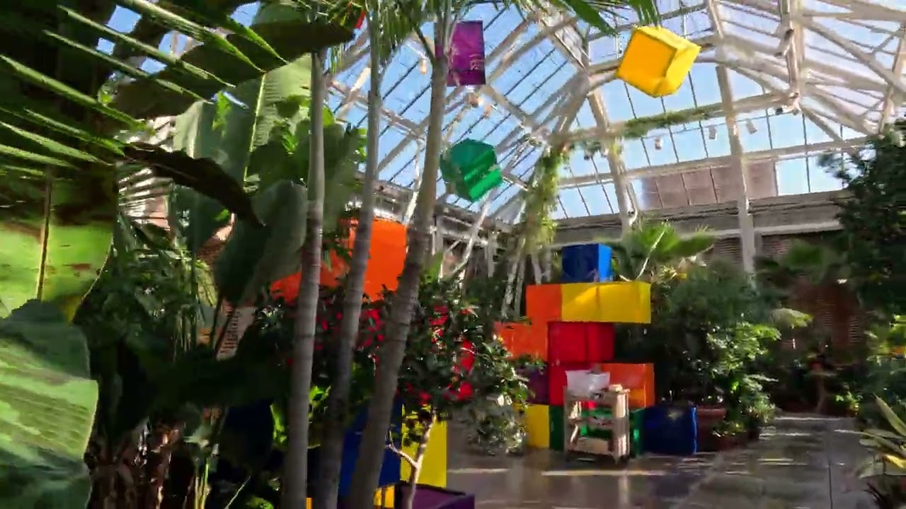 One Pixel (and Petal) at a Time: A Glimpse of the 2025 Orchid Exhibition