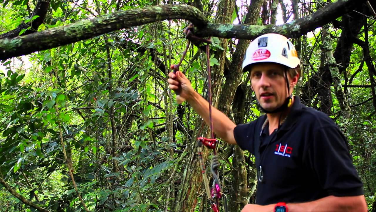 Explore Trees SRT Guide - Canopy Anchors