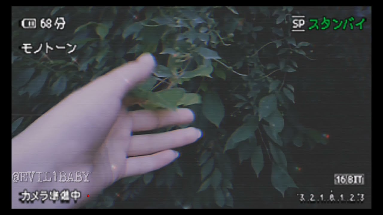 teen suicide - haunt me (x3) 「slowed + reverb + muffled w echo」