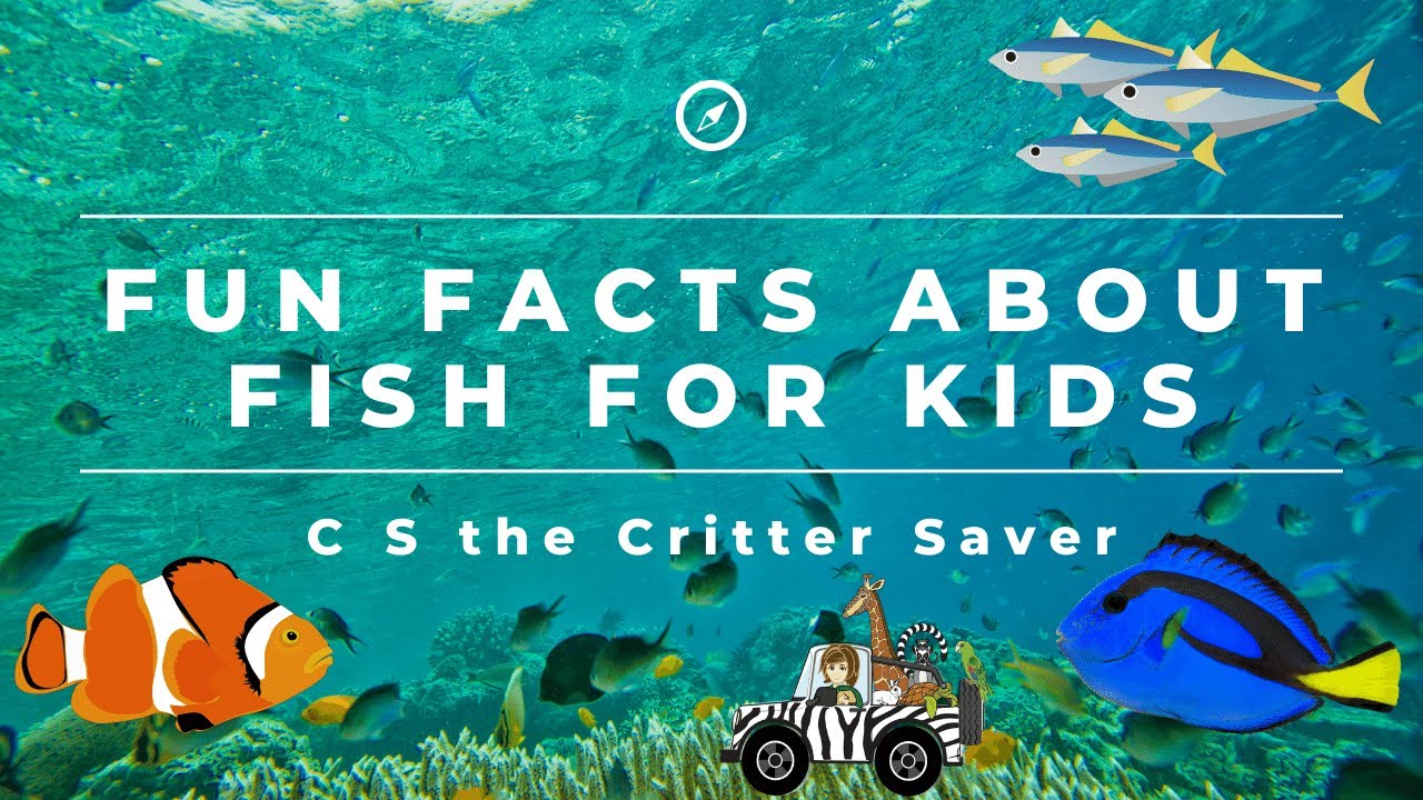 Fun Facts About Fish For Kids with C S the Critter Saver