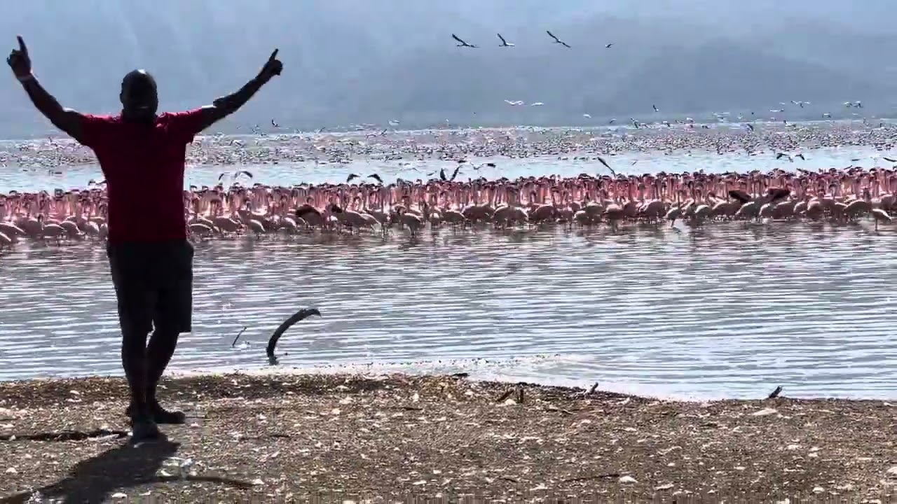 @lakebogoria9156