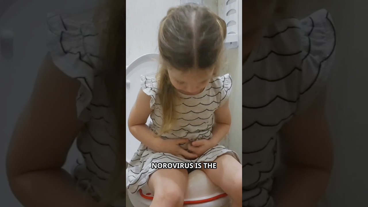 Stomach Flu in Kids: Norovirus Symptoms and Treatment Tips 