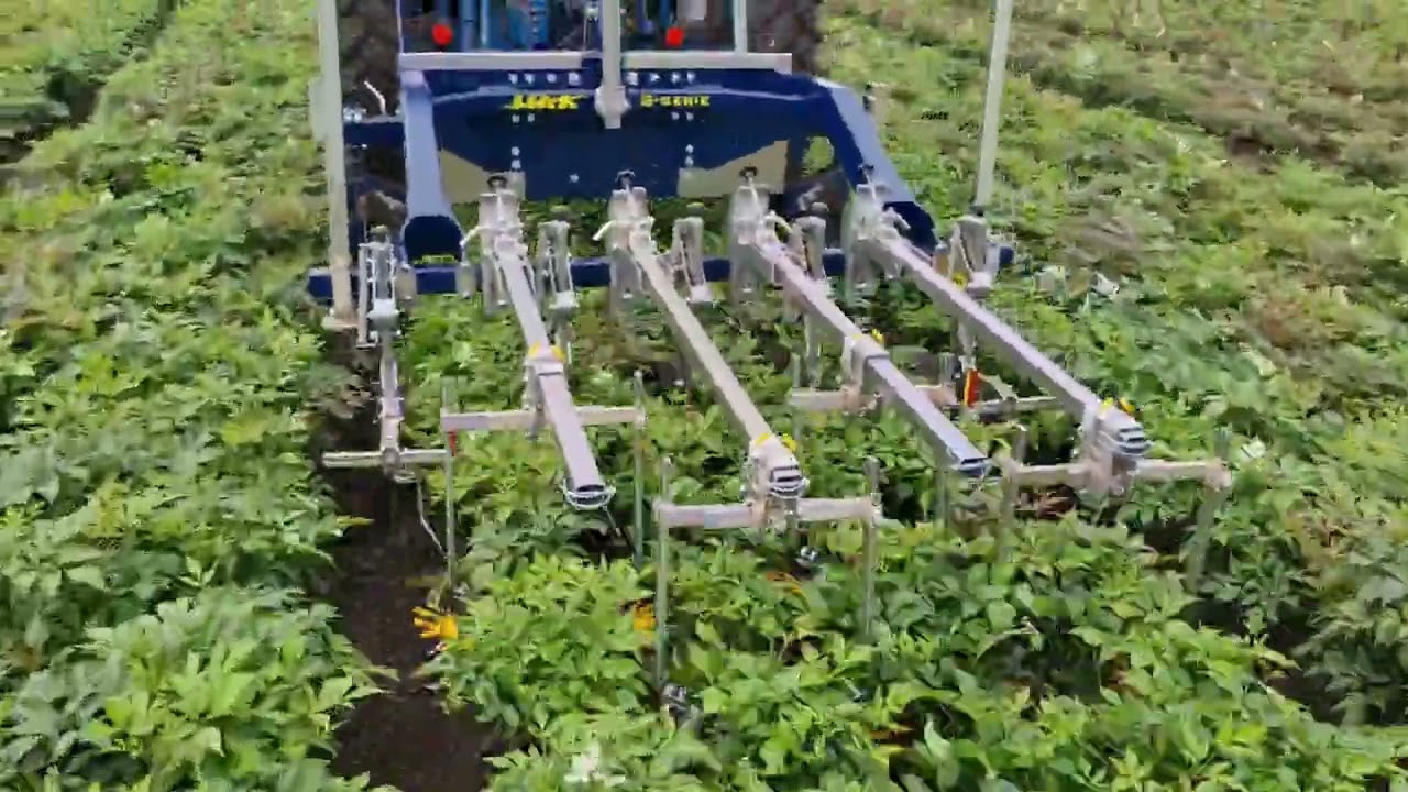 HAK S-serie schoffelmachine, camera gestuurd schoffelen in groot gewas met vingerwieders