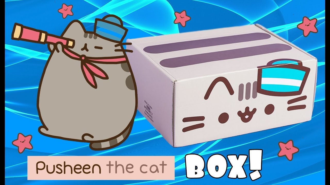 PUSHEEN BOX Estate 2019!