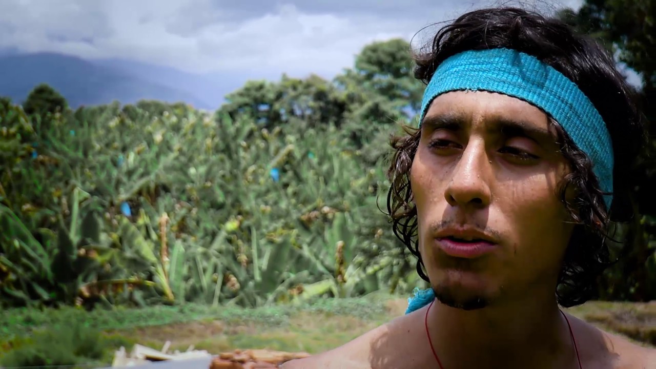 EL TEMAZCAL - HERENCIAS