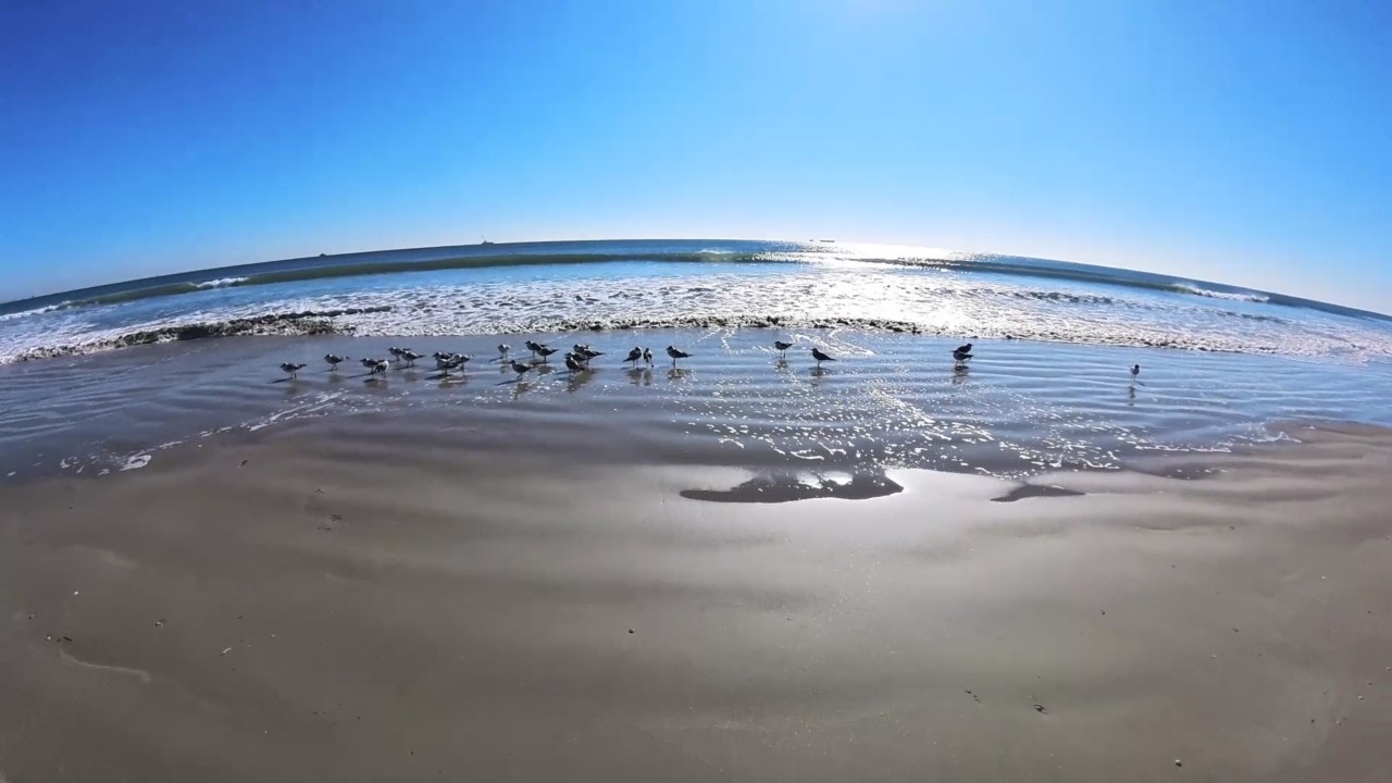 Cold Morning Walk At Cape Canaveral - Vlog no. 176