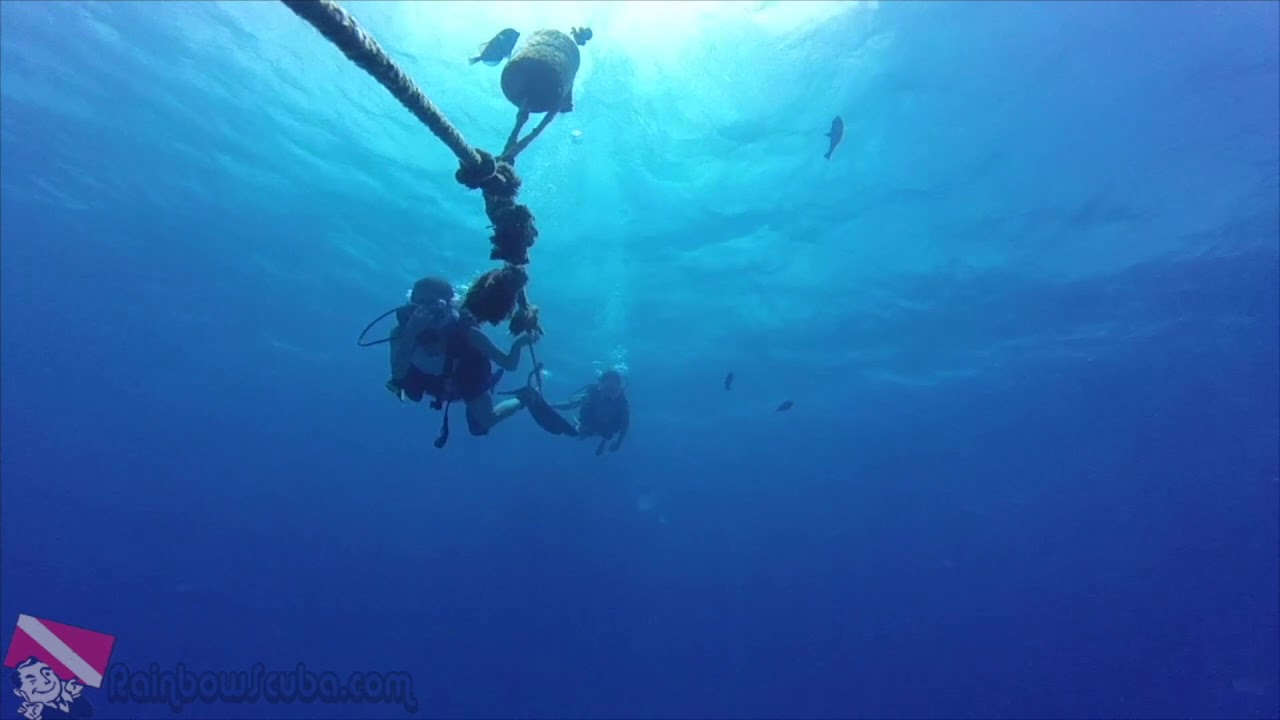 Hawaii Scuba - vlog 001