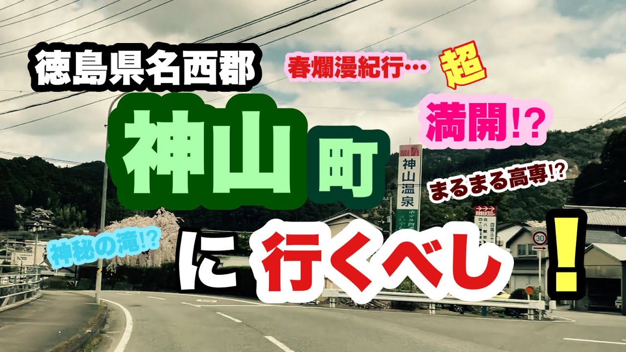 【徳島県名西郡神山町】春爛漫紀行〜満開を見に行く神山町の見所満載⁉︎