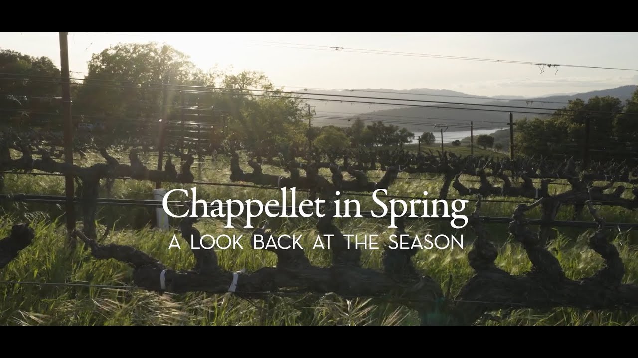 Chappellet in Spring
