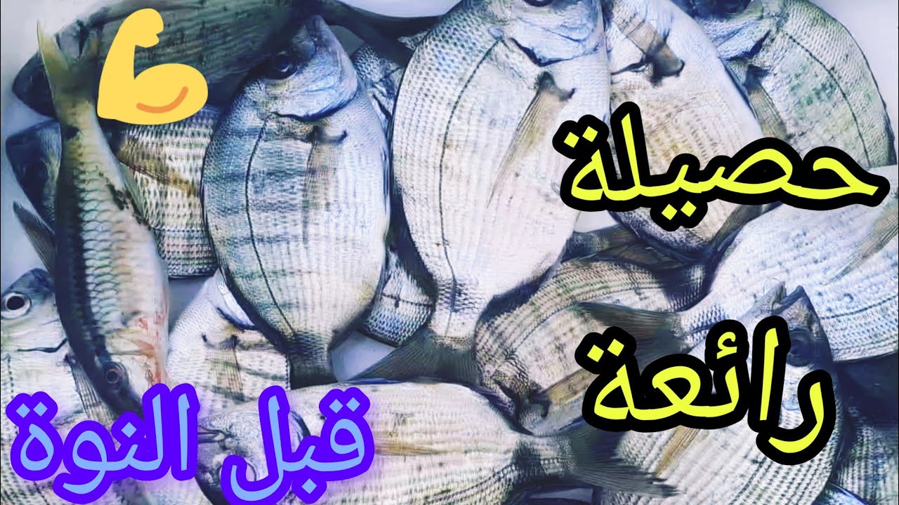 حصيلة رائعة،رحلة صيد مثيرة بالبوصة اليد في البحر العالي قبل نوة القاسم #هاوي_صيد