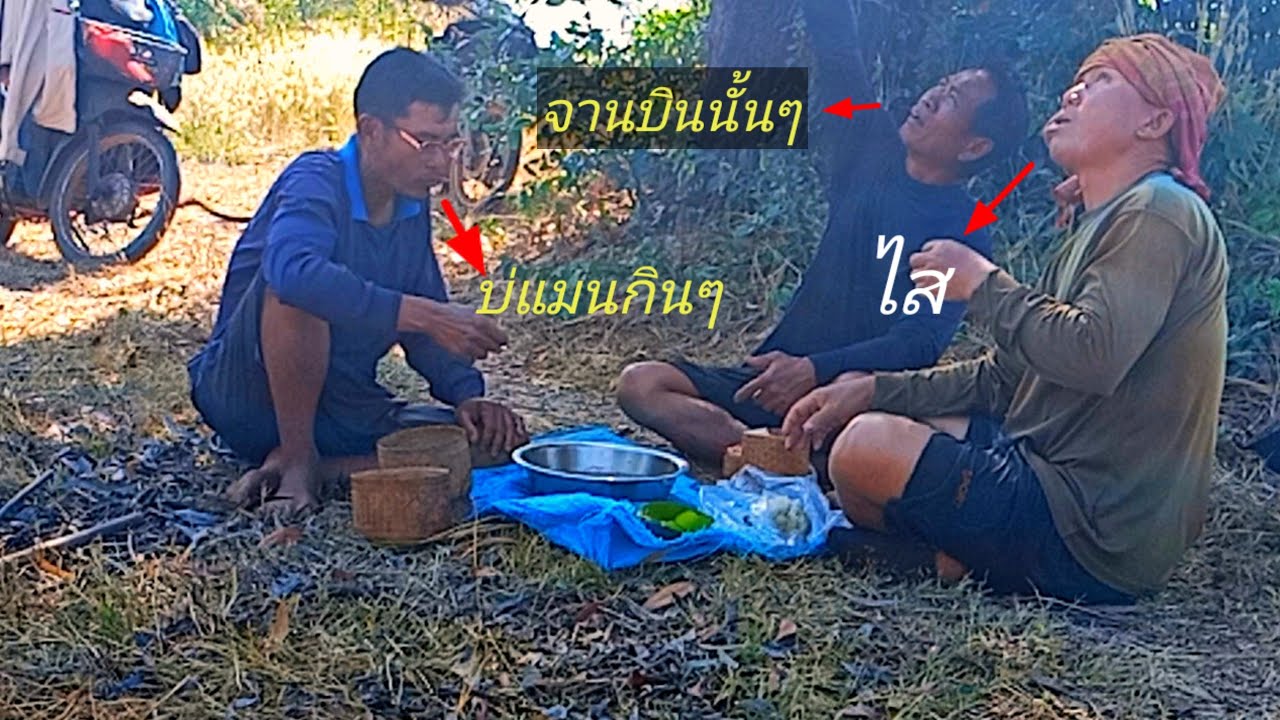 ep15 ตึกแห กักดาง จอบบ้อนไปวังแม่บ๋ออีกครั้งปลามีแต่บ้อนใหญ่