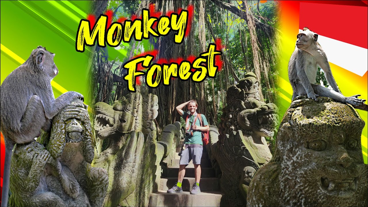 Indonesia : The Wildest Experience in Ubud's Monkey Forest