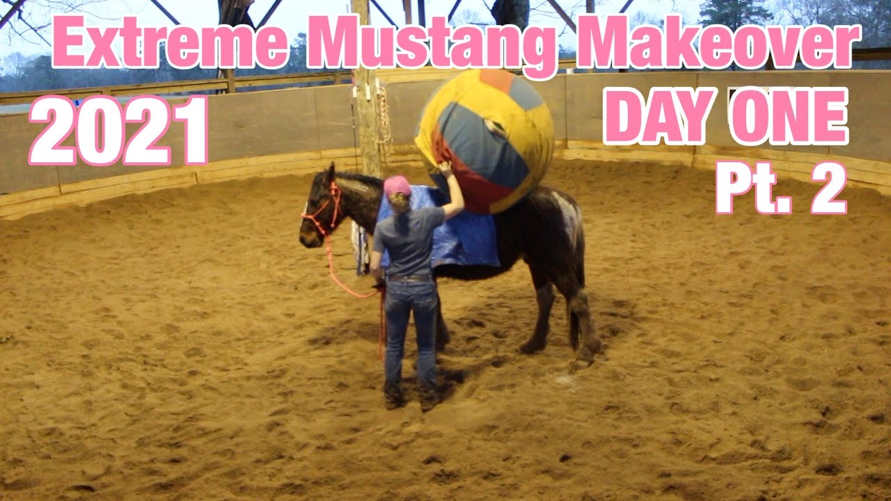 DAY ONE! Part Two | Extreme Mustang Makeover 2021