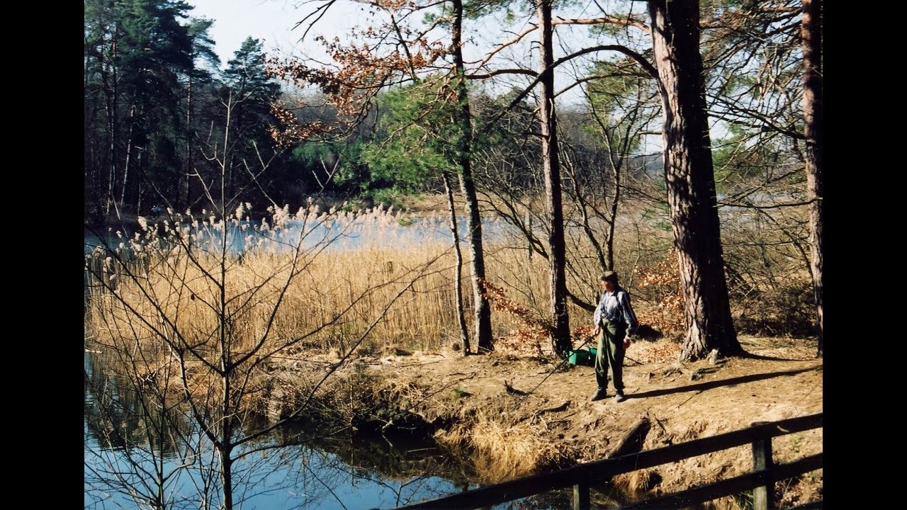 Rando-photo dans la Forêt de Tronçais