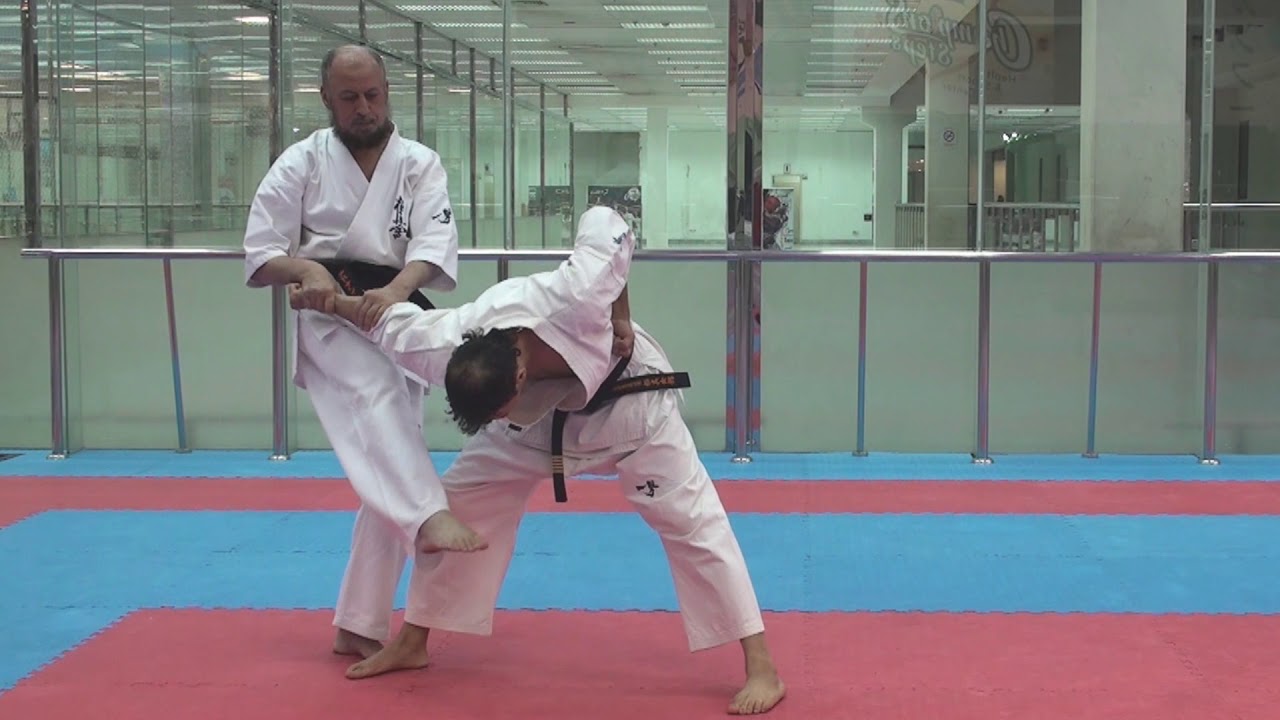 بونكاي البينان الخامس كيوكوشن - Bunkai Kyokushin Pinan Sono Go