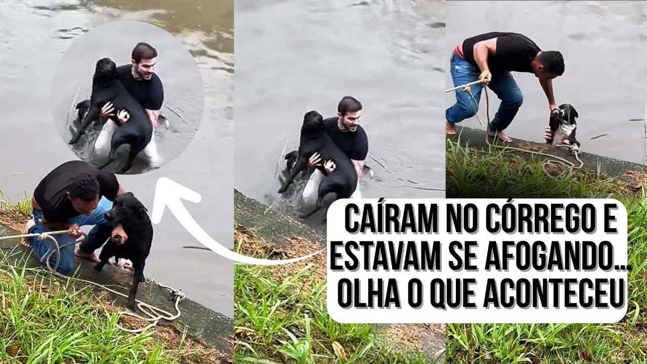 Caíram no córrego e estavam se afogando… olha o que aconteceu