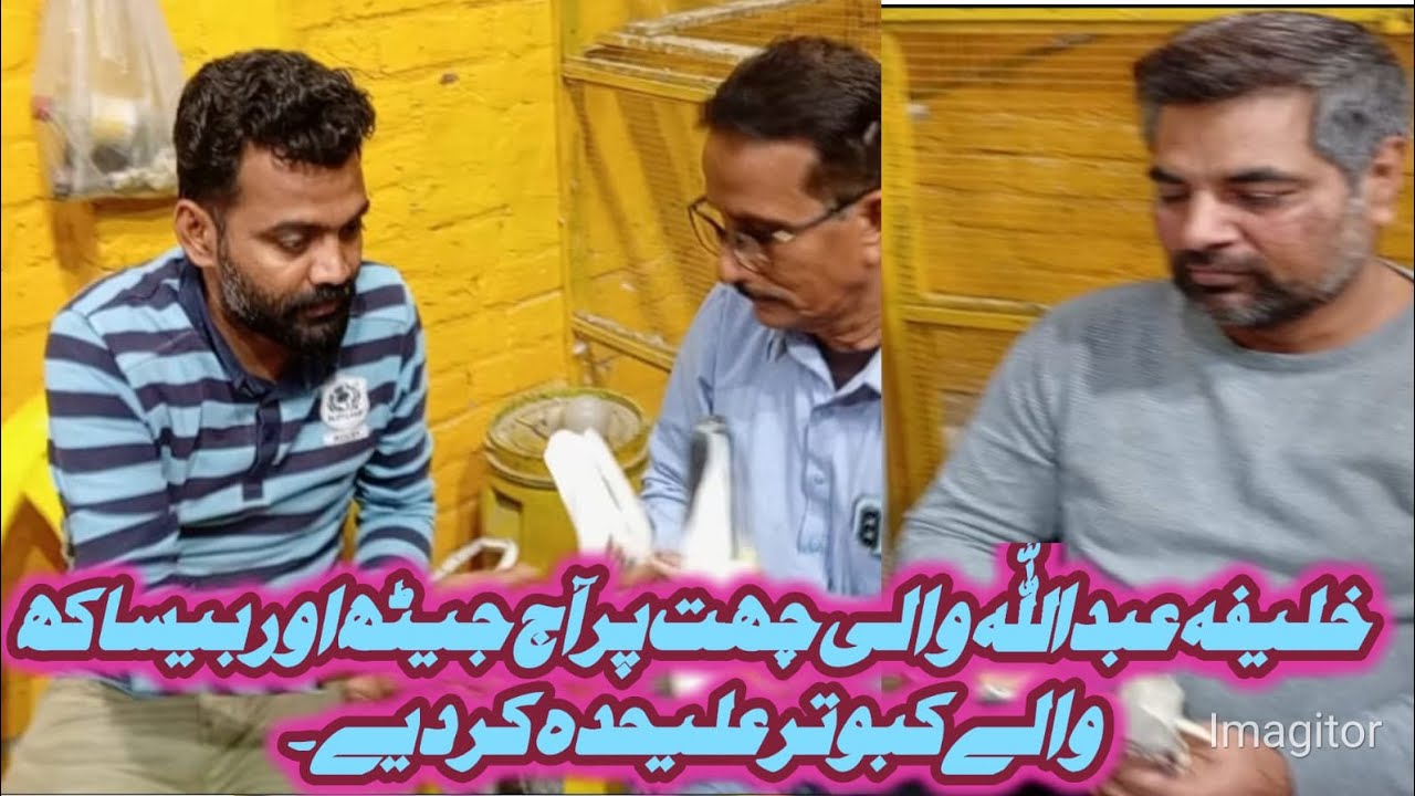 khalifa Abdullah wali chhat   pr aaj jeath aur vaishakh wale kabutar aleda kr diye