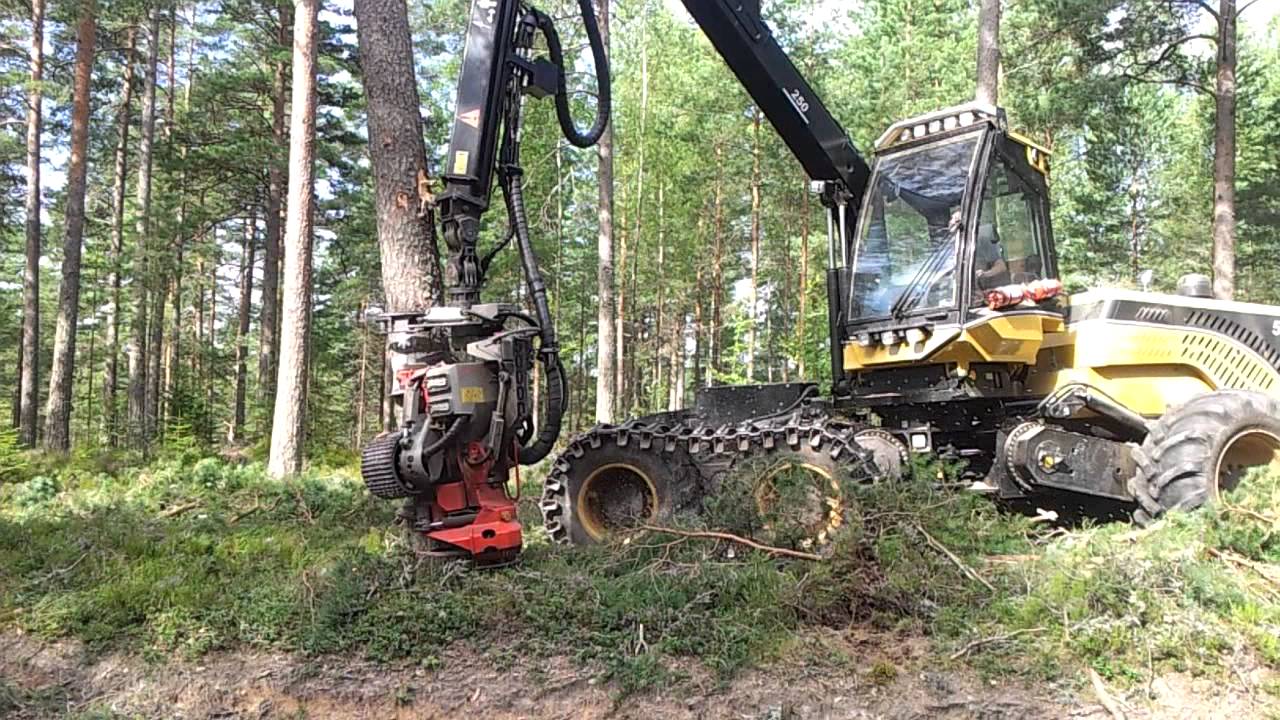 Lite mer grova träd :)
