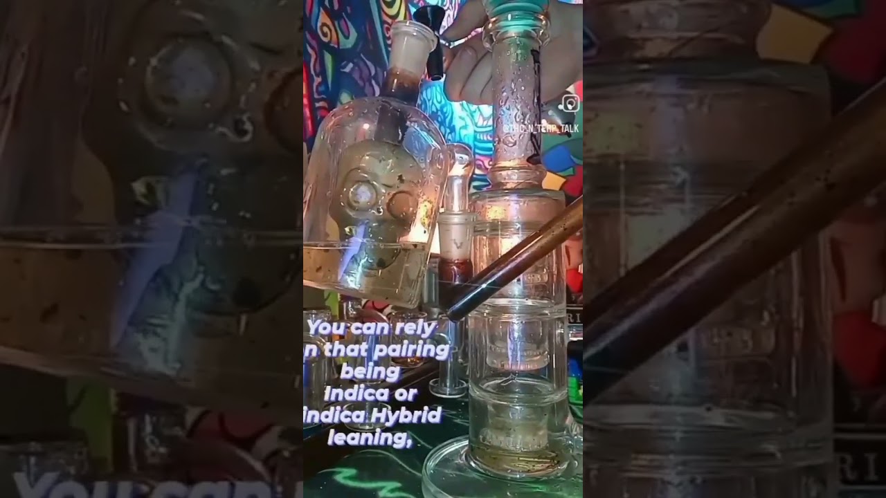 Use Terpology 2 Read Weed Bluniverse #cannabis #marylandphotographer #stonersociety #weedchannel