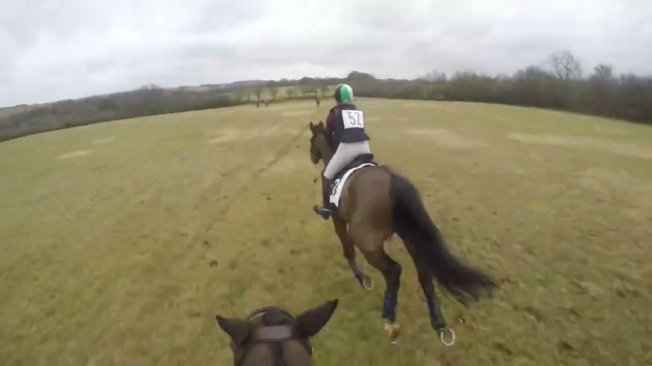 Cotswold  Scurry 2023