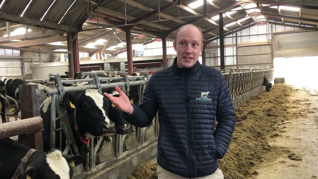 Stephen Morrison's virtual open day