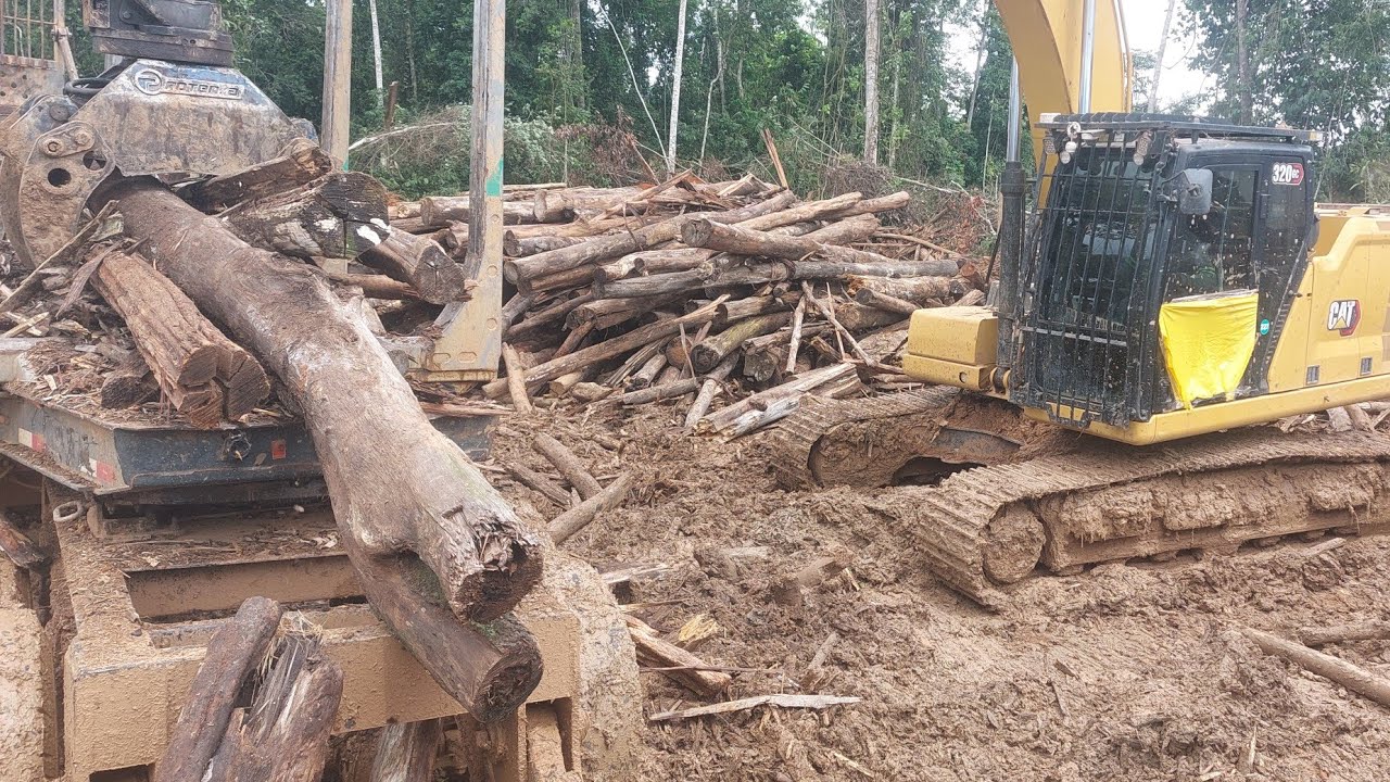 Caterpillar 320 GC + Triturador Bruno Titan | Produção de Madeira Picada