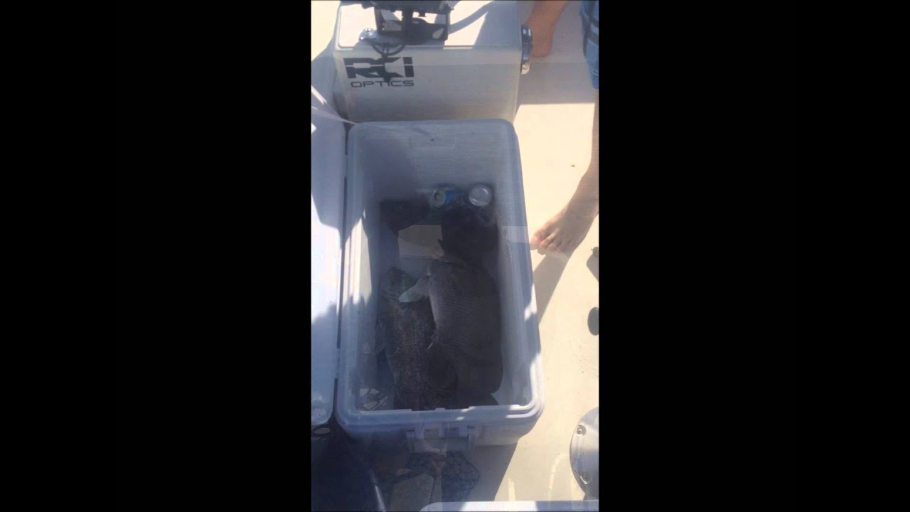 TripleTail fishing on the Space Coast