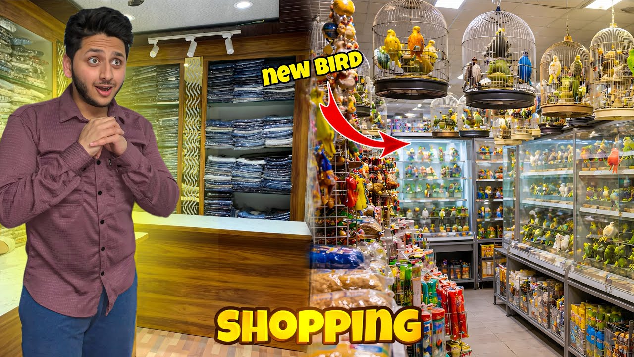 SHOPPING FROM NEW SHOWROOM😇|budgies birds 🐦 ko cat ne kha liya😭| kaif family 