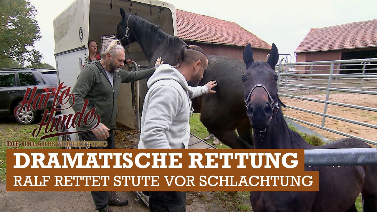 Notfall auf dem Gnadenhof 