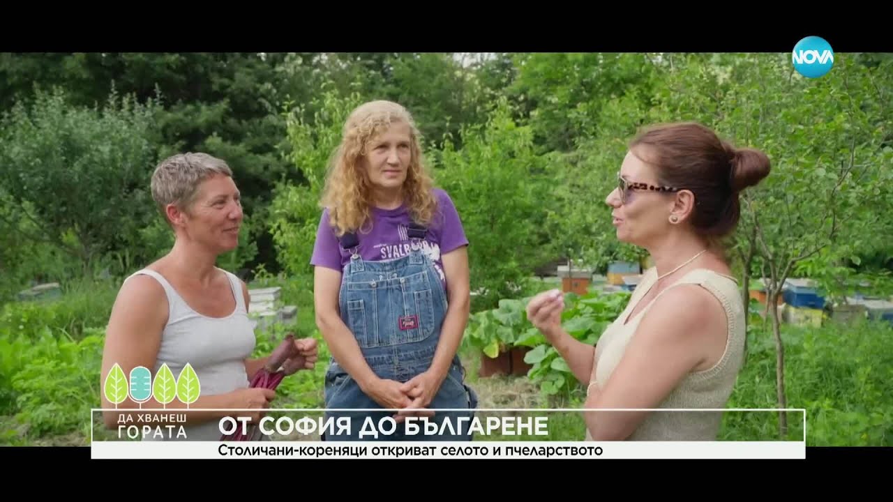 Да хванеш гората (06.07.2025) От кошера в София до пчеларството на село #novatv #дахванешгората