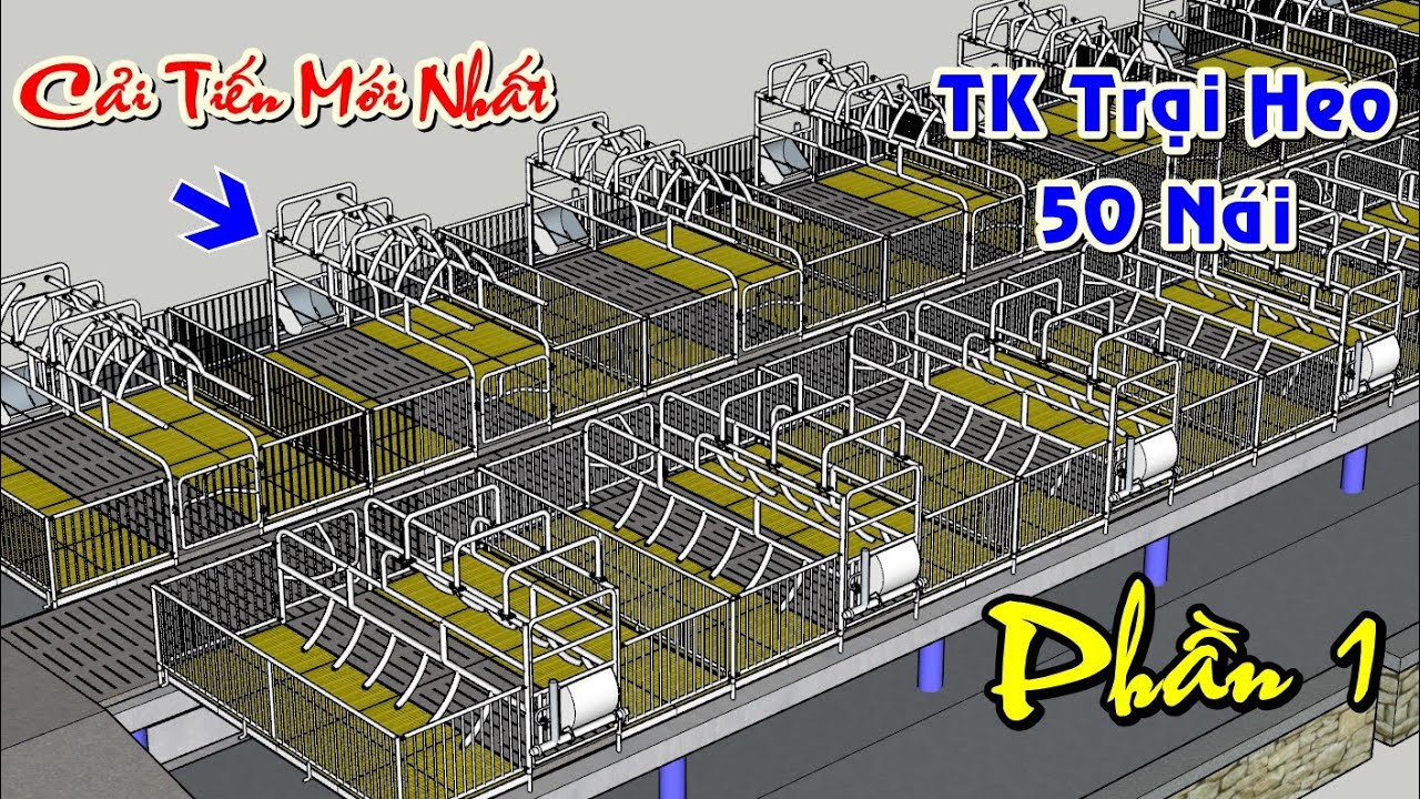 Cách Làm Chuồng Lợn(Heo) 50 Nái Phần 1 | Khởi Nghiệp TV