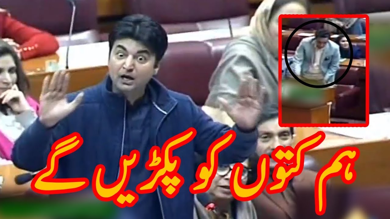 TWINKLE TWINKLE LITTLE STAR | Murad Saeed reply to Bilawal Bhutto in National Assembly
