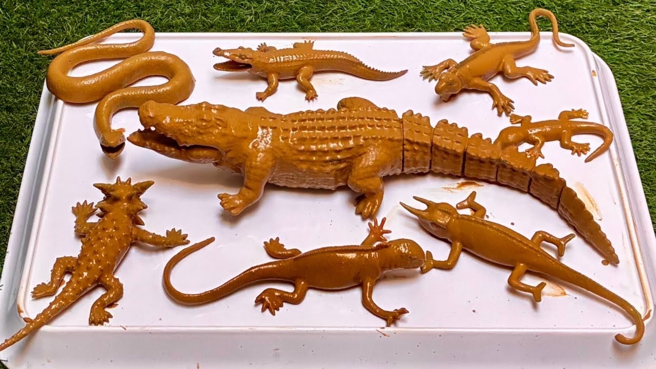 Epic Reptile Rumble: Big Crocodile vs Giant Lizard in a Wild Showdown