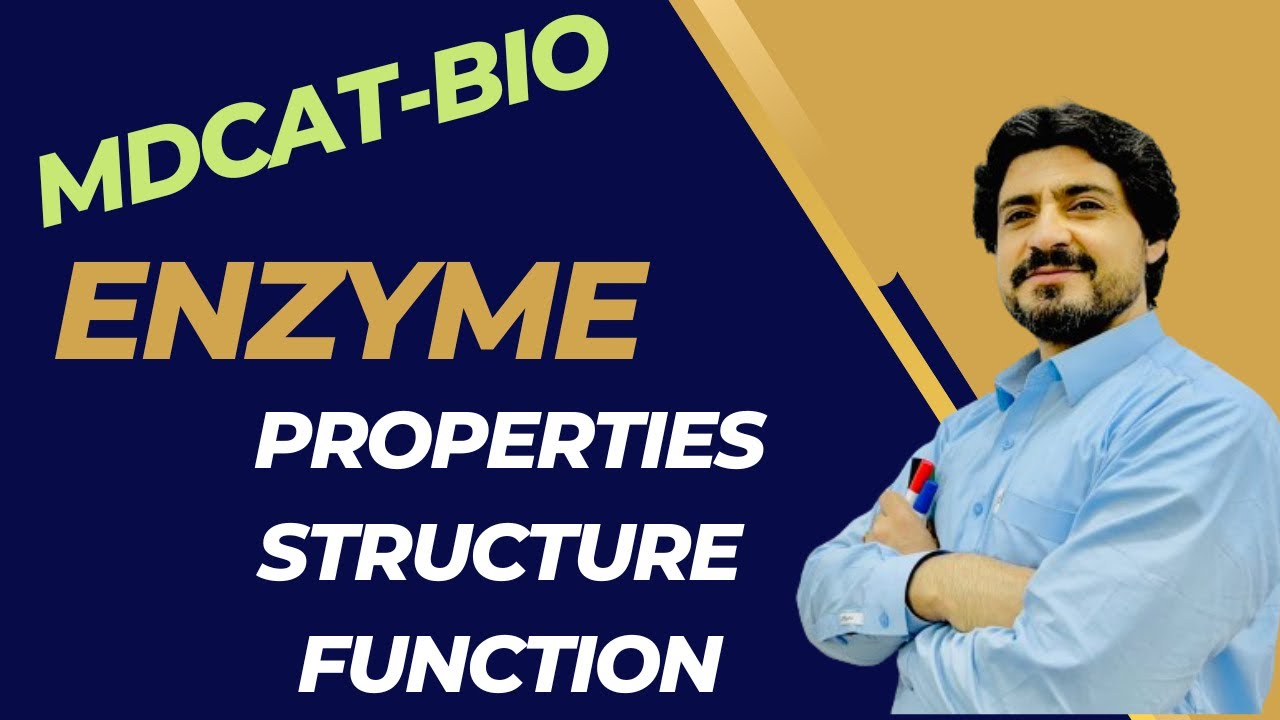 MDCAT BIOLOGY| ENZYMES | STRUCTURE | CHARACTERISTICS #enzymes