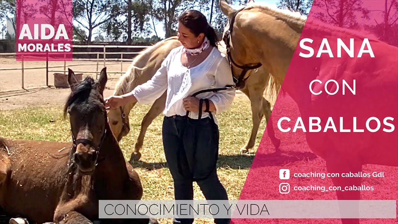 SANA CON CABALLOS