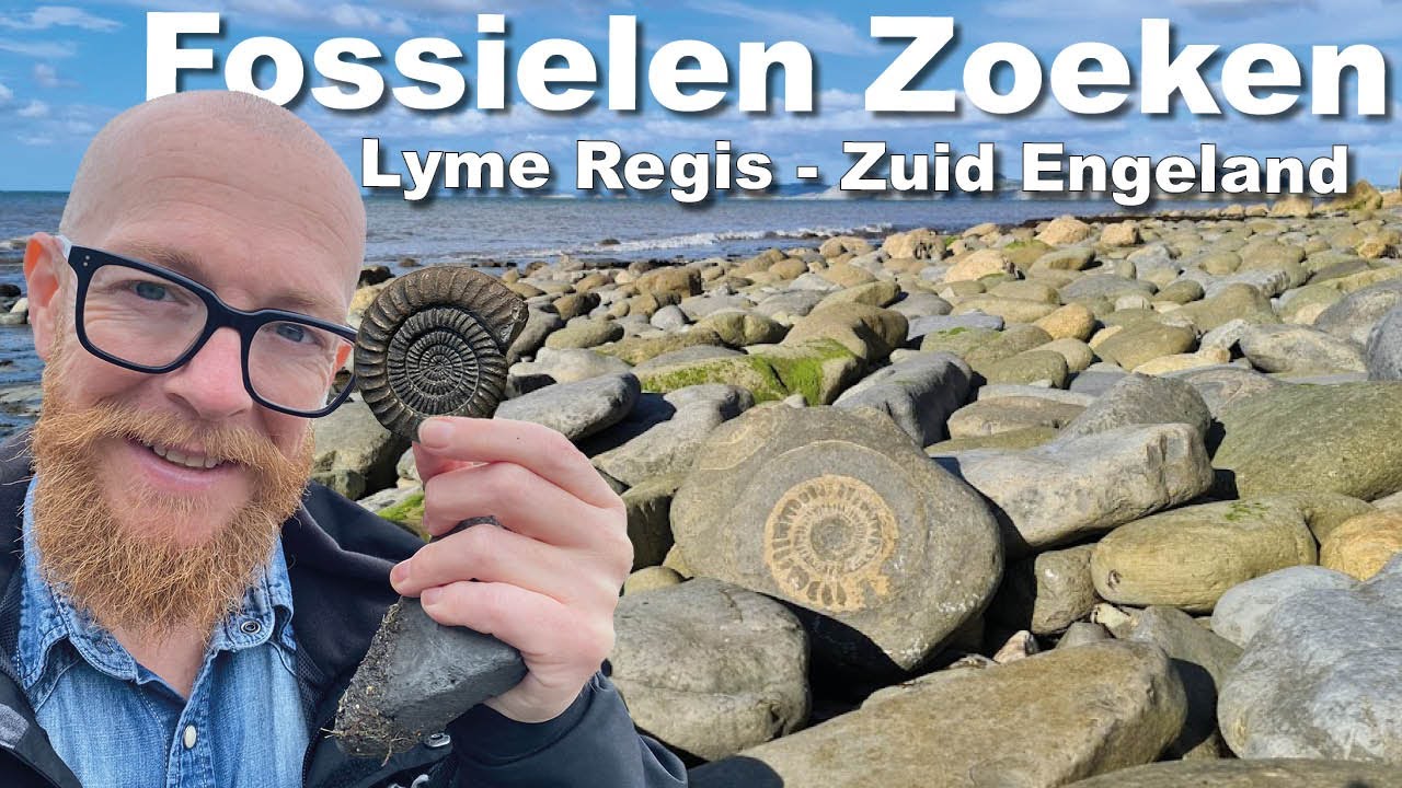 Fossielen Jagen in Lyme Regis: Avontuur in Zuid-Engeland!