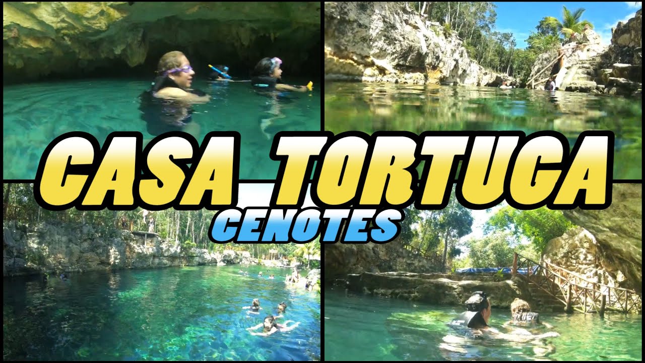 CENOTES CASA TORTUGA - Tulum - Mexico (4k)