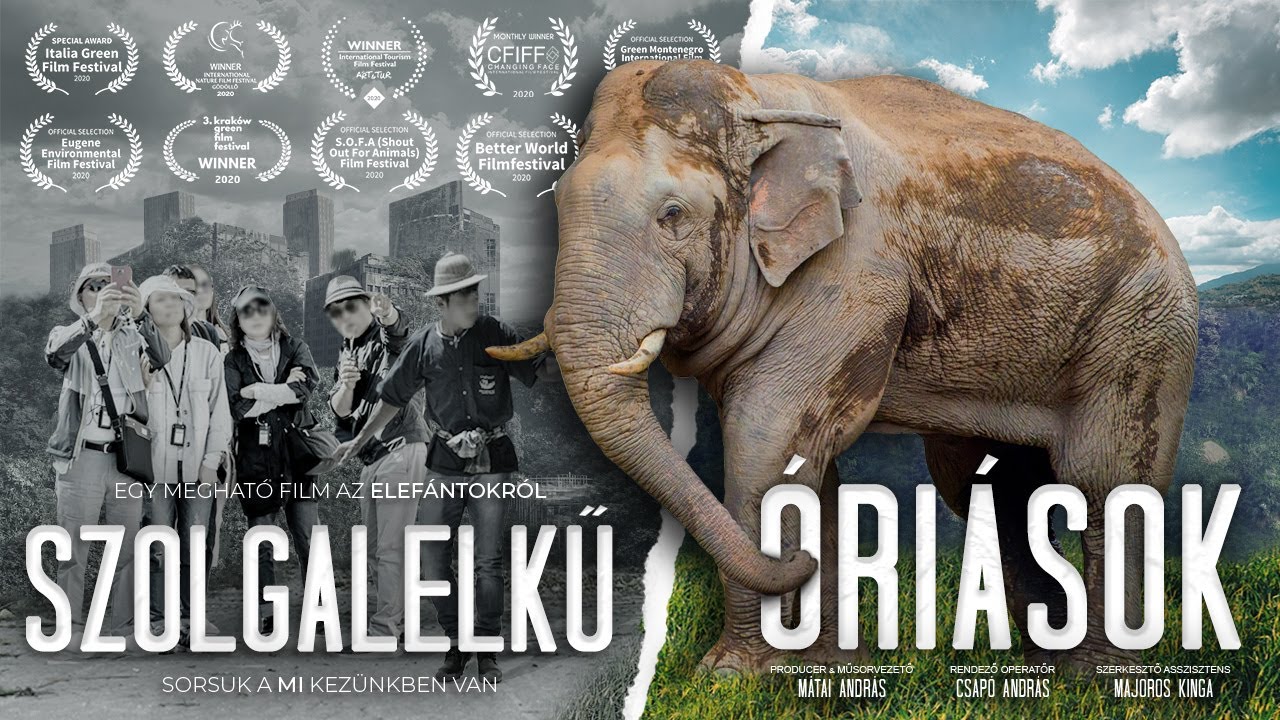 SZOLGALELKŰ ÓRIÁSOK -  Elefántosfilm