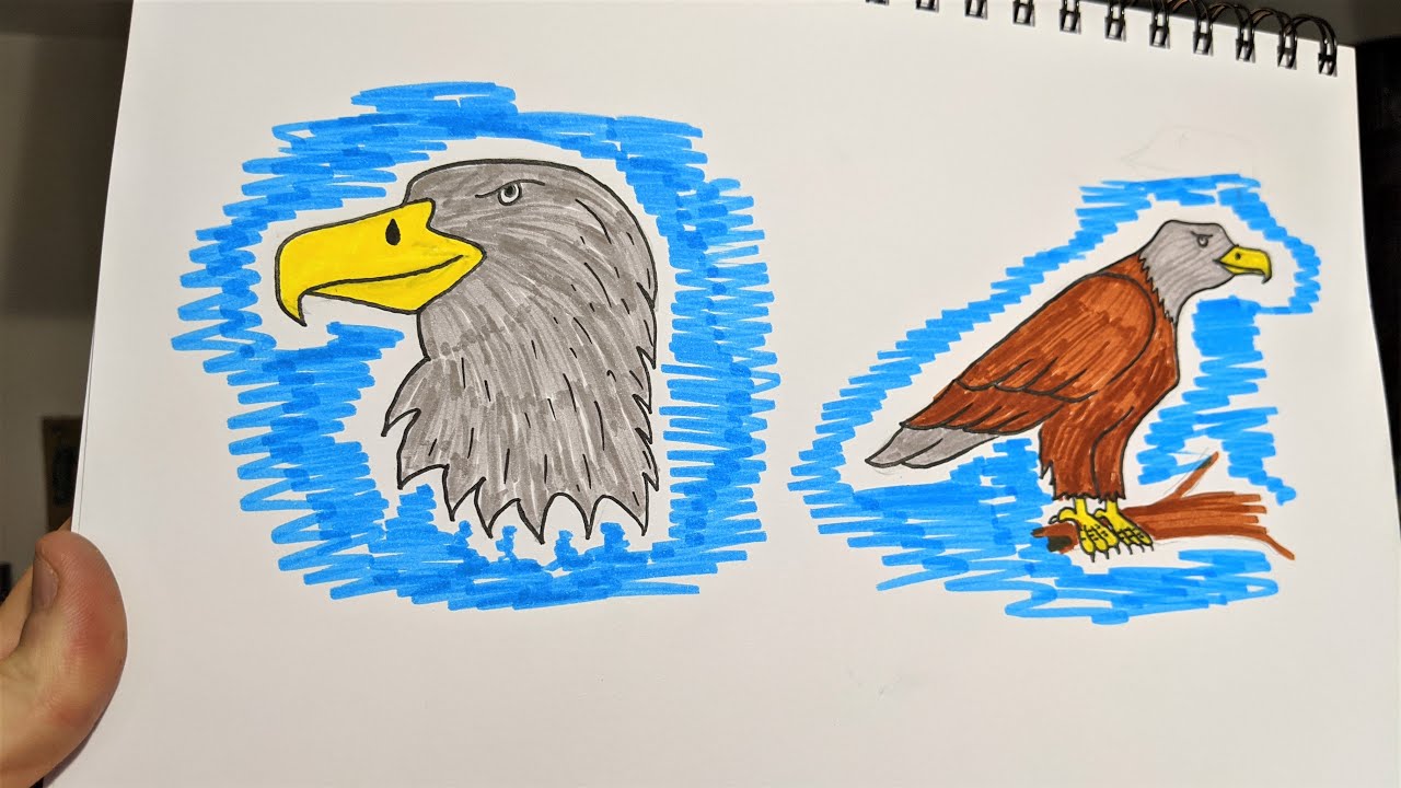 Mr W's Tutorial, How To Draw An Eagle, Easy (Kids Crafts)