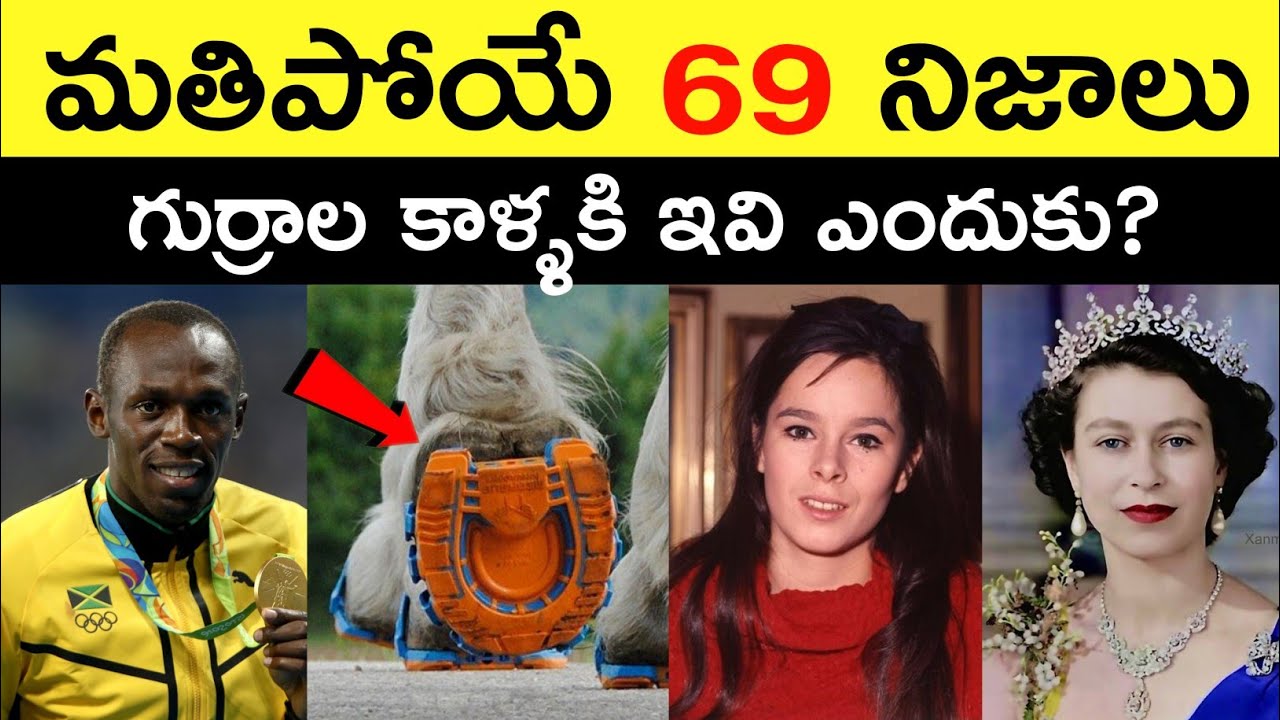 Top 69 Facts In Telugu | Amazing & Unknown Facts | Interesting Facts In Telugu | RAR Facts 