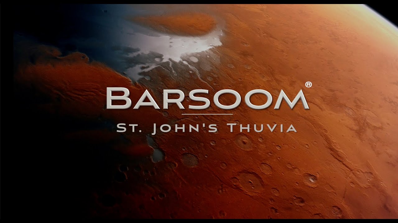 ERB Minute | Barsoom | St. John's Thuvia