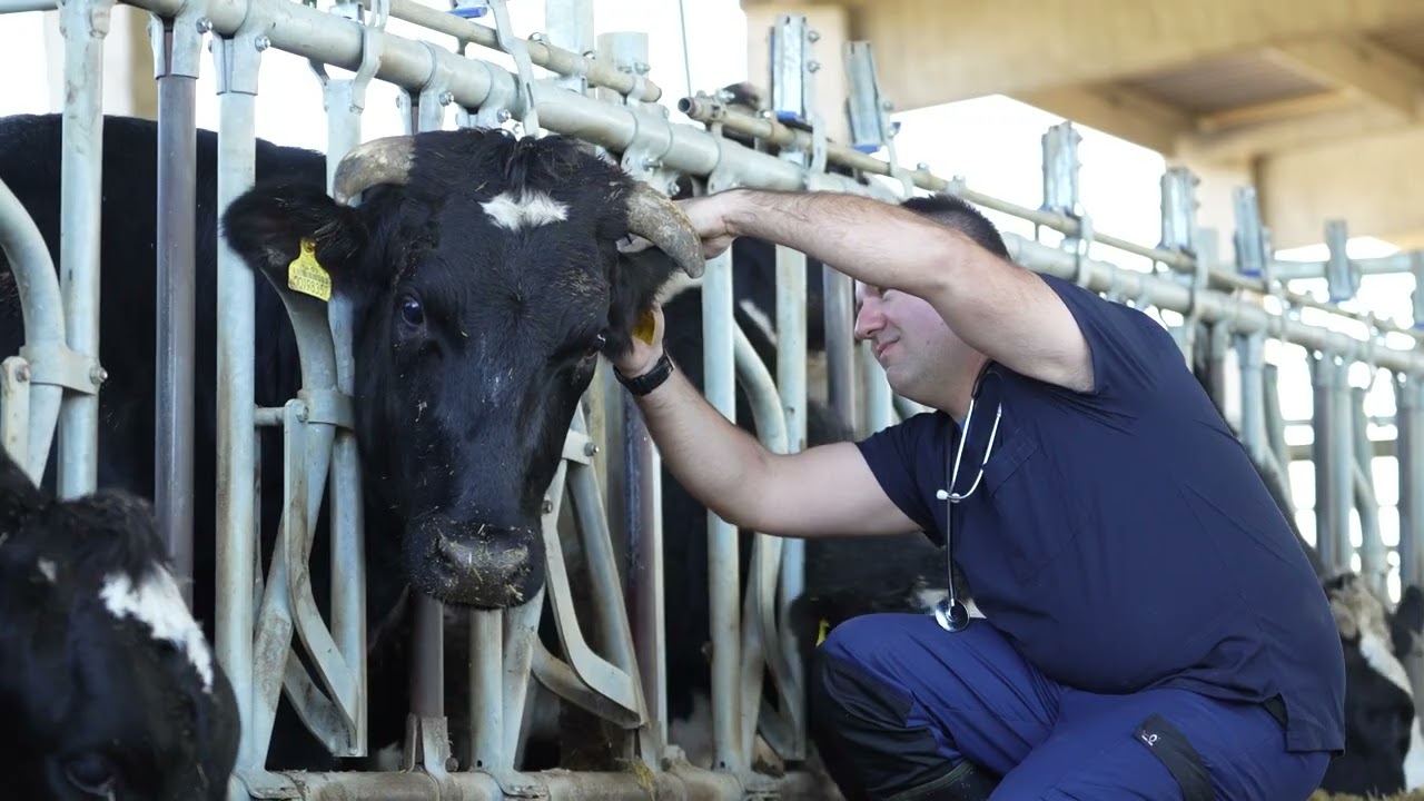 Ljubav prema životinjama postala profesija