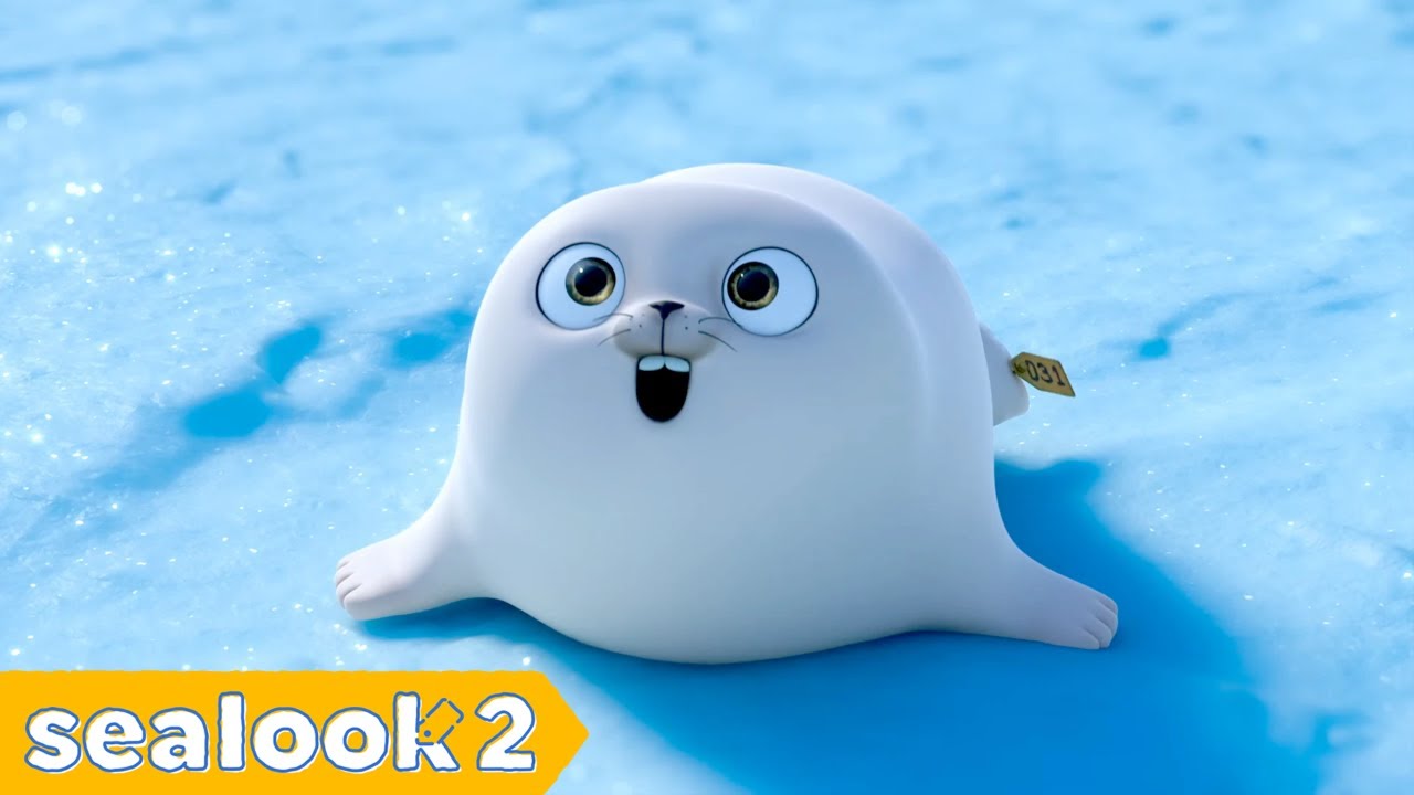 More Baby Seal, Happier Subscribers (Part2) | SEALOOK Compilation