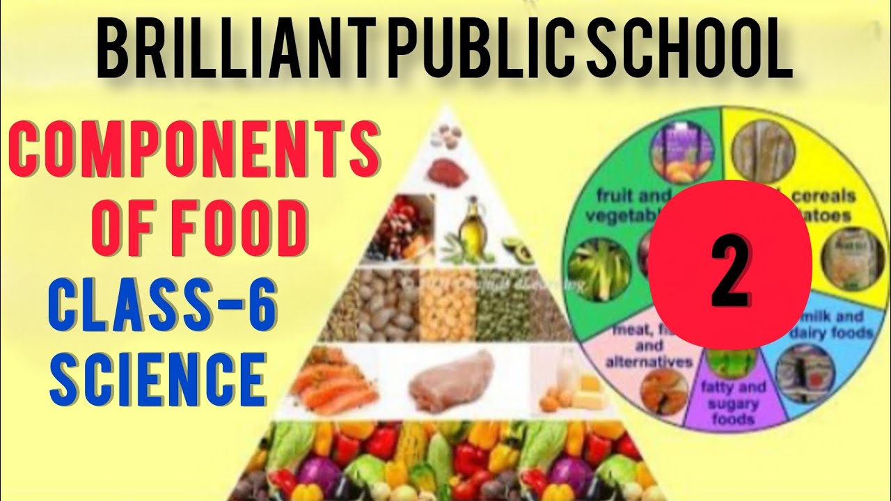 COMPONENTS OF FOOD#2