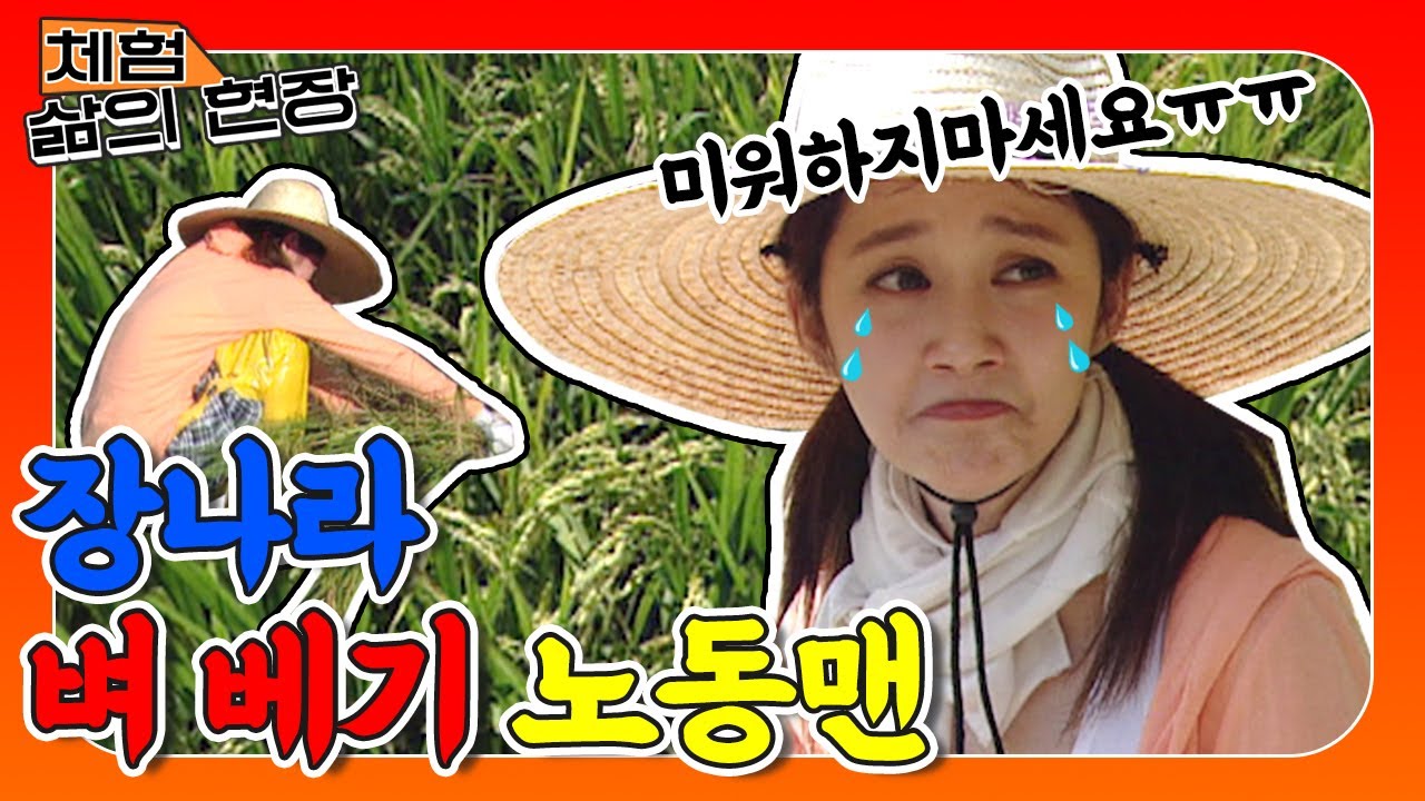 - [체험 삶의 현장][노동맨 #48] 😰장나라 수난시대😰 시작부터 호되게 혼만 나는 장나라!