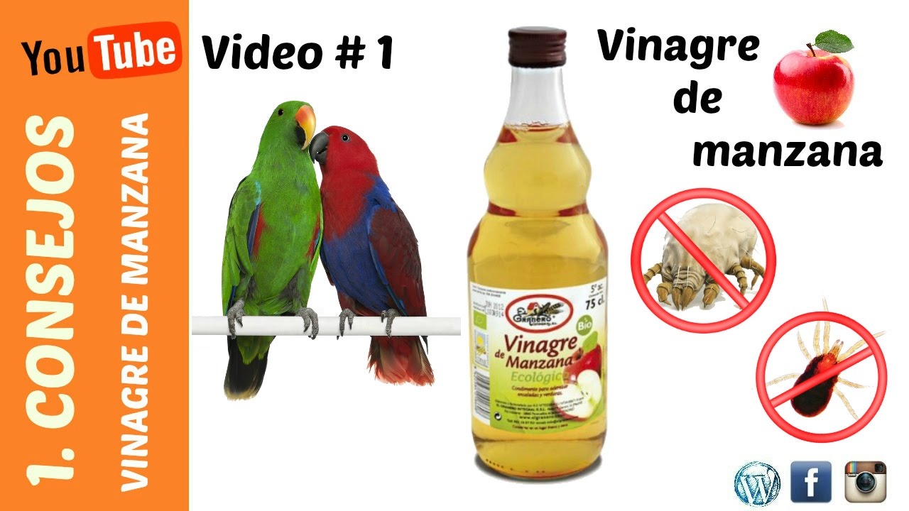 Vinagre de manzana!